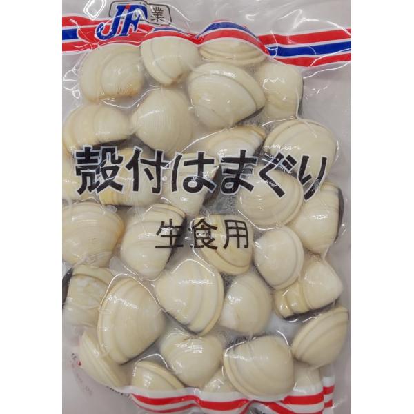 殻付はまぐり　500g（約21個〜30個）x20ｐ（Ｐ430円税別）　生食用　業務用　はまぐり　ハマ...