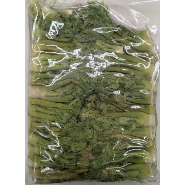 中国産　たらの芽水煮　S　500ｇ×20P（P1,240税別）常温　業務用　ヤヨイ　約4-6ｃｍ