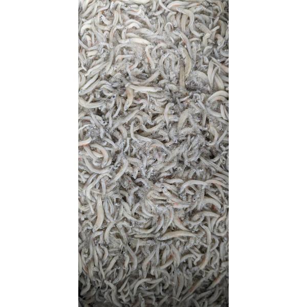 国産　干しらす（ちりめん）粗目　2Kg×6箱（Kg2,700円税別）大特価　冷凍　業務用　ヤヨイ