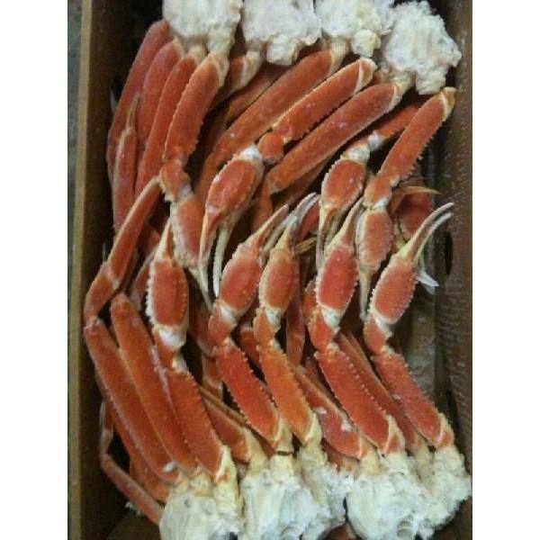 身入抜群　冷凍ボイルずわい蟹　3Ｌ（肩）５kg（kg4,750円税別）（約16肩）ヤヨイ　業務用