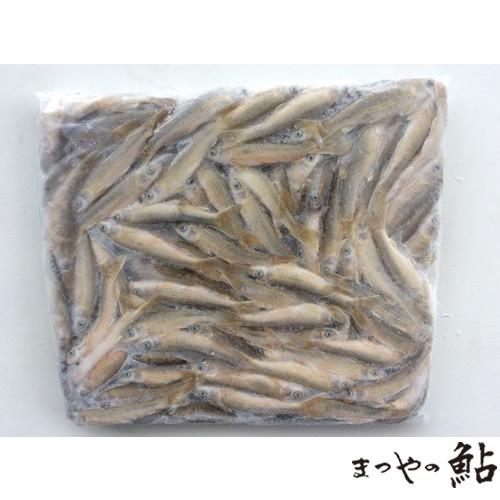 国産（琵琶湖産）本もろこ　1,000ｇ×10P（P4,300円税別）尾8ｇ／10cm前後　冷凍　業務...