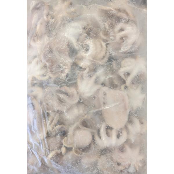 ベトナム産　冷凍生いいだこ　1Kg（26−40個）x10Ｐ（Ｐ2050円税別）冷凍　業務用　ヤヨイ　...