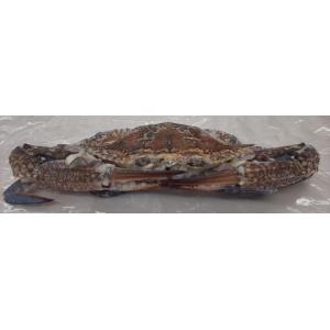 冷凍　渡り蟹（丸）10ｋｇ（匹100-150ｇ、150-200ｇ、200-300ｇ各サイズあり）ｋｇ...