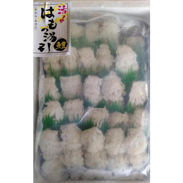 中国産又は国産　活〆湯引き鱧　500ｇx10Ｐ（Ｐ2,450円税別）生食用　業務用　ヤヨイ