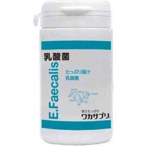 ワカサプリ】 乳酸菌 90粒 3粒で約1兆個 乳酸菌 ヨーグルト約10 