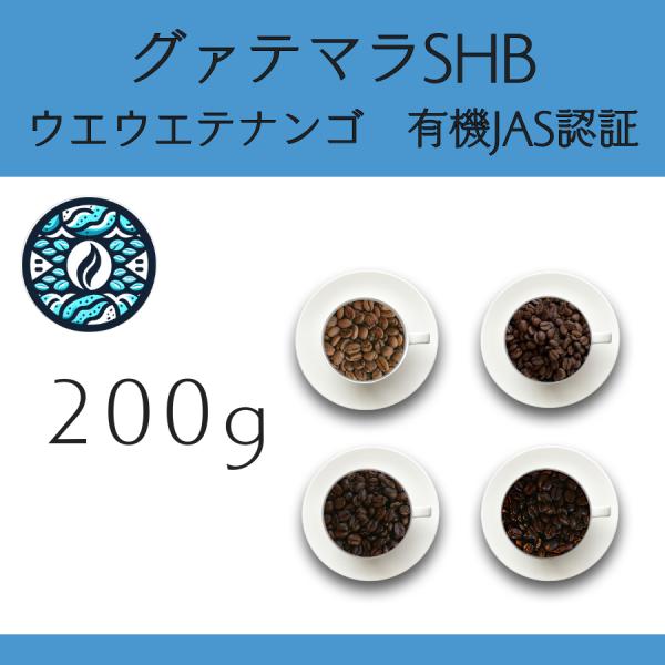 【200g】８グァテマラSHB ウエウエテナンゴ 有機栽培 Qグレード