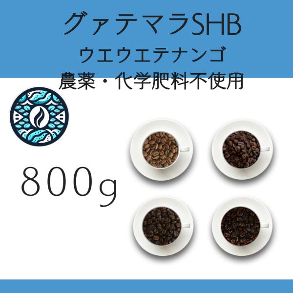 【800g】８グァテマラSHB ウエウエテナンゴ 有機栽培 Qグレード