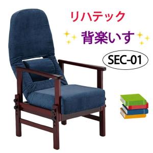 新品未使用】GLORYプラン　立ち上がり補助チェア　Care-409-SAC 貞苅椅子製作所 高座椅子 高齢者椅子 肘付 立ち上がり補助 折りたたみ