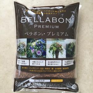 ギャザリング用あく抜きベラボン５リットル