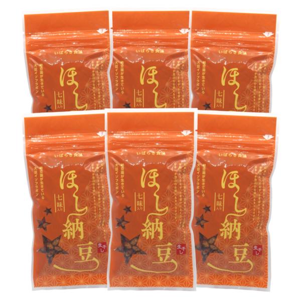 いばらき食品 生干納豆 七味青のり入 100g入×6個セット