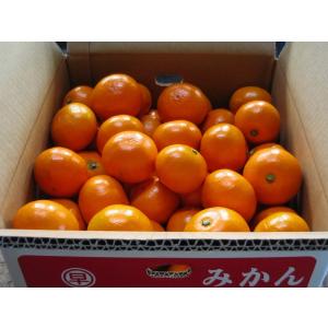 お歳暮　ご贈答に最適　おひさまおれんじ７kg　S~2Lミックス　当園オリジナル