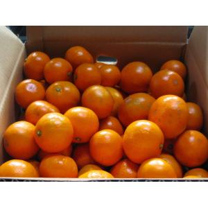 ご家庭用　キズ有り　大小ミックス　おひさま無印パック７kg　（３S~２L）当園オリジナル