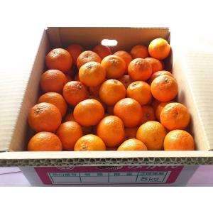 クレメンティン５kg　２S〜Mミックス