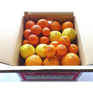 おたのしみパック 7kg スイートスプリング・ネーブル・クレメンティン・ノバ、4種類の柑橘セット