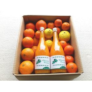 おたのしみパック 約7kg　4種類の柑橘＋おひさまおれんじジュース入り　クレメンティン、ネーブル、ノバ、スイートスプリング