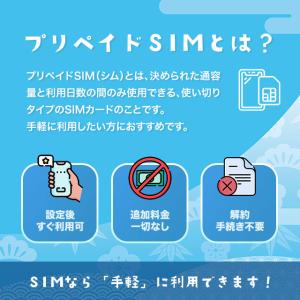 【チャージ可能】プリペイドSIMカード 100...の詳細画像1