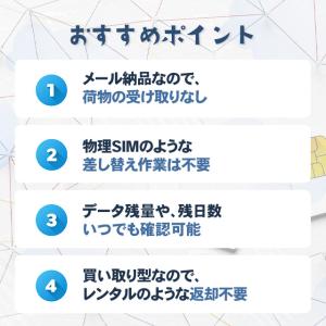 プリペイドSIM メール納品 プリペイドeSI...の詳細画像2
