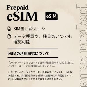 プリペイドSIM メール納品 プリペイドeSI...の詳細画像3