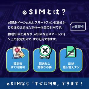 プリペイドSIM メール納品 プリペイドeSI...の詳細画像1