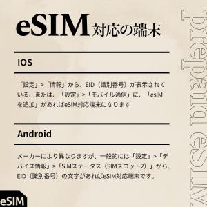 プリペイドSIM メール納品 プリペイドeSI...の詳細画像4