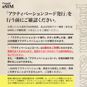プリペイドSIM メール納品 プリペイドeSI...の詳細画像5