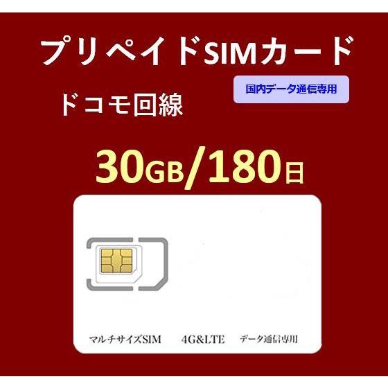 プリペイドSIMカード 30GB 180日 国内データ通信専用  NTTドコモ回線（docomo 回...