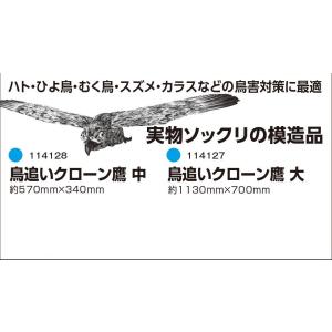 1ロ【山形定#179チラ021016-15】防獣　鳥追いクローン鷹　中　114128　約570m/m...