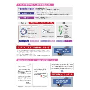 1ロ【仙台定#14ヨセ030405-3】コロナ...の詳細画像2