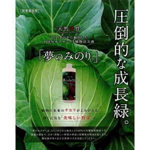 c1【本神定#244キ070103-6】野菜 果実 花 しいたけ 収穫量30-50%アップ肥料補助　夢のみのり　50リッタータイプ　オーガニック植物活性液