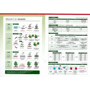 c1【本神定#244キ070103-6】野菜 ...の詳細画像2