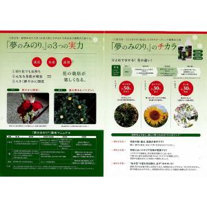 c1【本神定#244キ070103-6】野菜 ...の詳細画像3