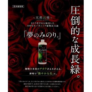 c1【本神定#244キ070103-6】野菜 ...の詳細画像4