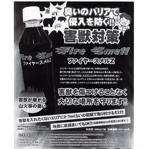 C1▲【本石川定#343ミ080601-168...の詳細画像1