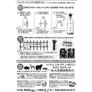 C1▲【本石川定#343ミ080601-168...の詳細画像2