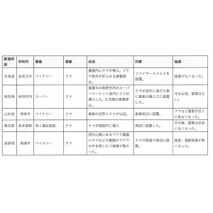 C1▲【本石川定#343ミ080601-168...の詳細画像4