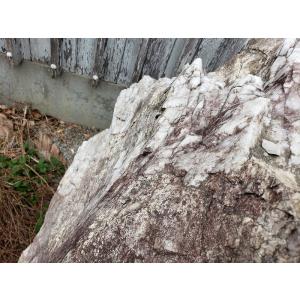 c2A【宮城住イイ田代050317-1】交渉O...の詳細画像4