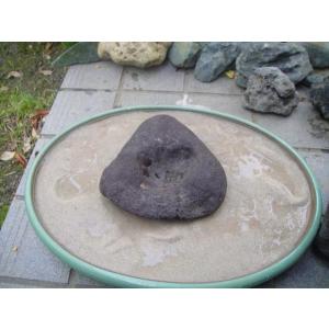 2A【当町イイ田代H8033有】水石 溜りまぼろしの論田石 水盤無し