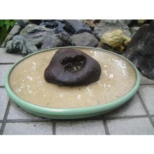 2A【新長イイ田代H8419有】交渉OK!水石...の詳細画像1