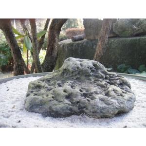 C2A【新長イイ田代030101-19】交渉O...の詳細画像1