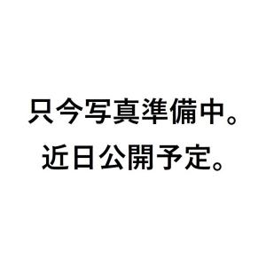 c3A【石千代CDSP002】交渉Ok　ドローン暴走防止装置（補償制度対象外商品）空撮技研　DS-004PRO 手動ディスクブレーキ方式　2019年