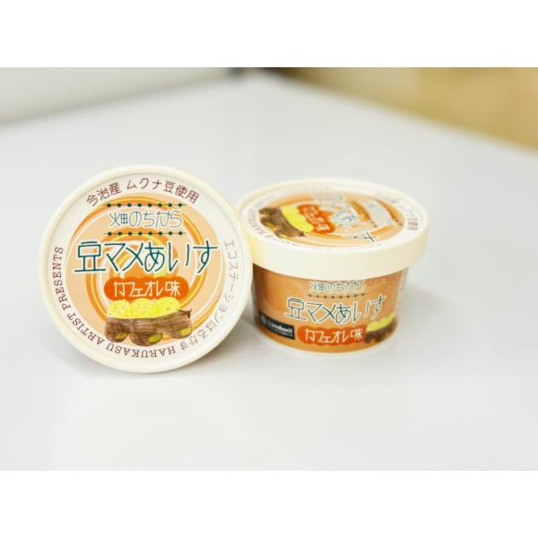 ■大地の贈り物■ムクナ豆アイス　自然栽培ムクナ豆使用 　8個入り　　