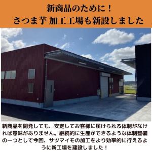 爆買 丸恭 干しの屋の干し芋 エコノミー 10...の詳細画像4