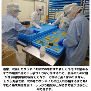 爆買 丸恭 干しの屋の干し芋 オリジナルLサイ...の詳細画像5
