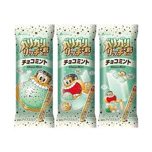 赤城 ガリガリ君リッチ チョコミント 100ml×12本 お試しセット 新商品 復活 アイス　氷菓 差し入れ イベント 誕生日プレゼント 父の日 ギフト 夏休み｜八角家