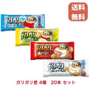アイス 冬ギフト バレンタイン ホワイトデー 赤...の商品画像