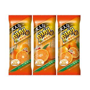 アイス お歳暮 赤城 大人なガリガリ君　濃いみかん 100ml×24本 差し入れ デザート　景品 プ...