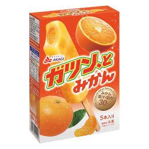アイス 熱中症対策 赤城 ガツン、とみかん58ml×5本 7箱 差し入れ　デザート ギフト お歳暮 ...