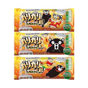 アイス 赤城 ガリガリ君 九州みかん味 105ml×32本 氷菓 人気ランキング上位 差し入れ 誕生日プレゼント かき氷 熱中症対策 ご褒美