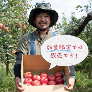 2026 10月中旬発送 甘みが強いシナノスイート 市場に出回らない 諏訪湖りんご 3kg 笠原果樹園 信州 長野県産 秋の味覚 フルーツ 林檎 リンゴ