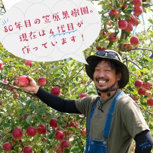 2026 10月中旬発送 甘みが強いシナノスイ...の詳細画像5